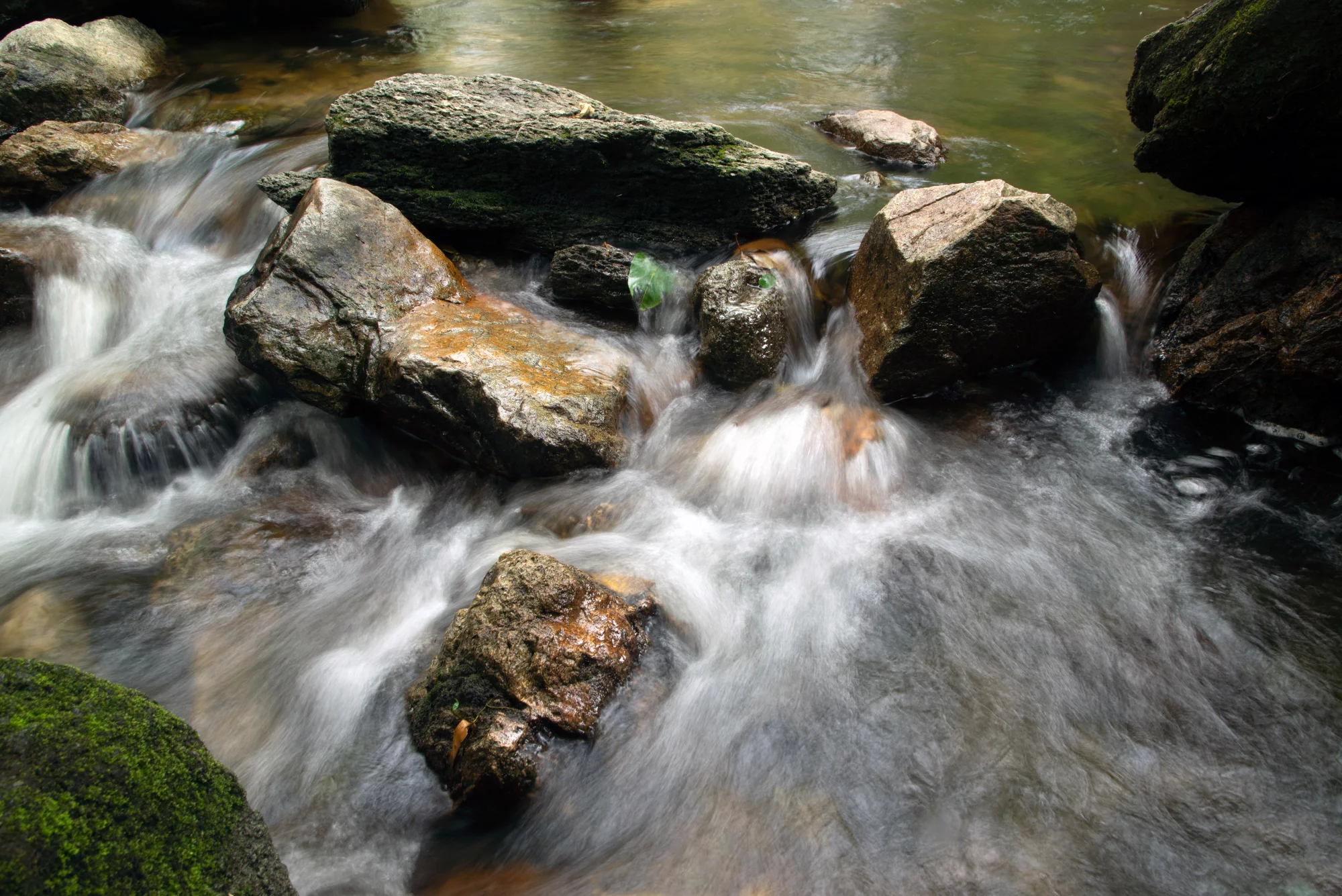 definitely-not-a-pump-and-dump-understanding-our-water-flow-aquabounty